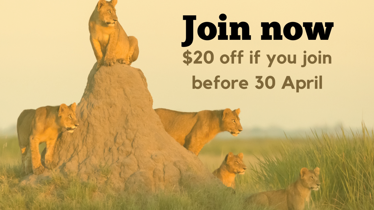 Join during April for a $20 discount